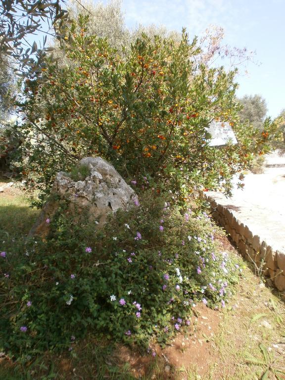 Trullo Villa Giuliana Con Giardino Posizione Panoramica Free Wifi Ostuni Zewnętrze zdjęcie
