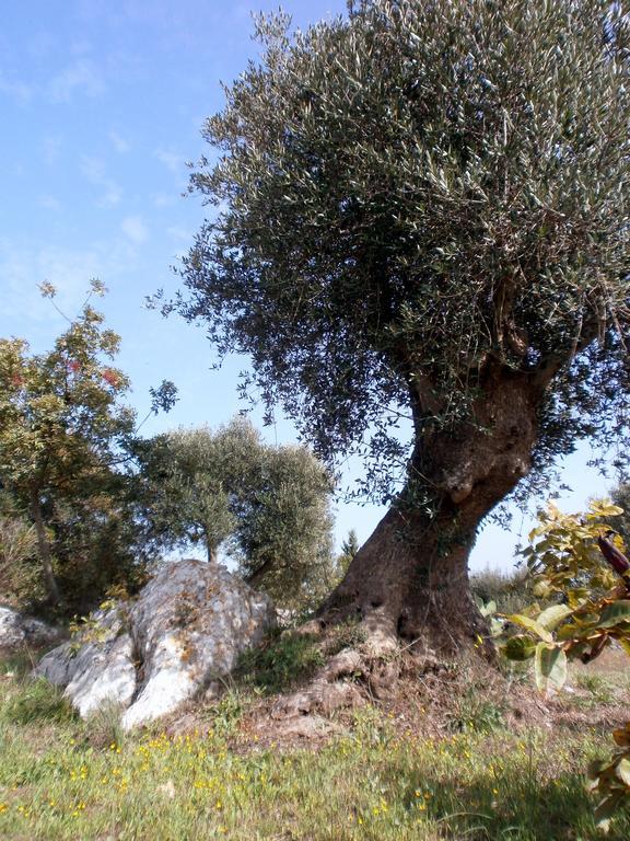 Trullo Villa Giuliana Con Giardino Posizione Panoramica Free Wifi Ostuni Zewnętrze zdjęcie