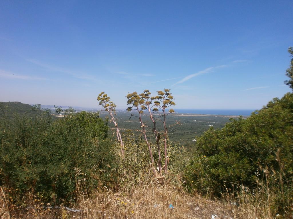 Trullo Villa Giuliana Con Giardino Posizione Panoramica Free Wifi Ostuni Pokój zdjęcie