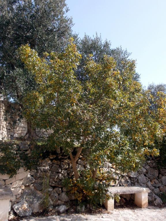 Trullo Villa Giuliana Con Giardino Posizione Panoramica Free Wifi Ostuni Pokój zdjęcie